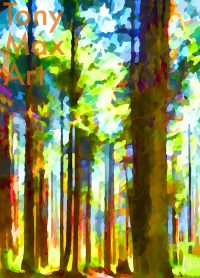 2. Sun Dappled Forest