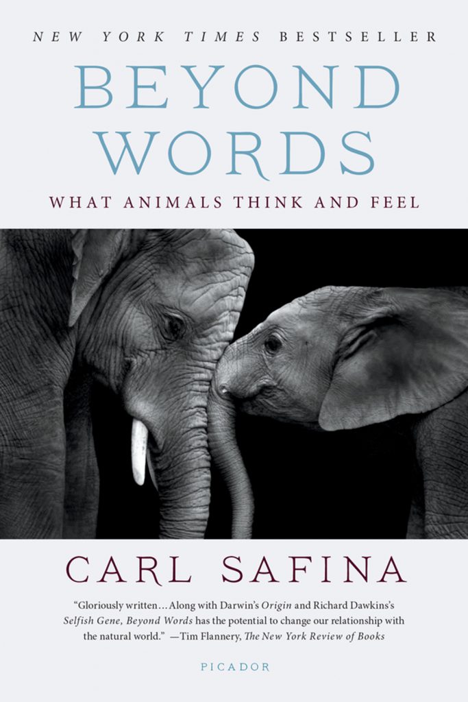 Beyond Words by Carl Safina | 32 Books & Gallery